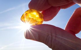 Bursztynowy Sen Hotel